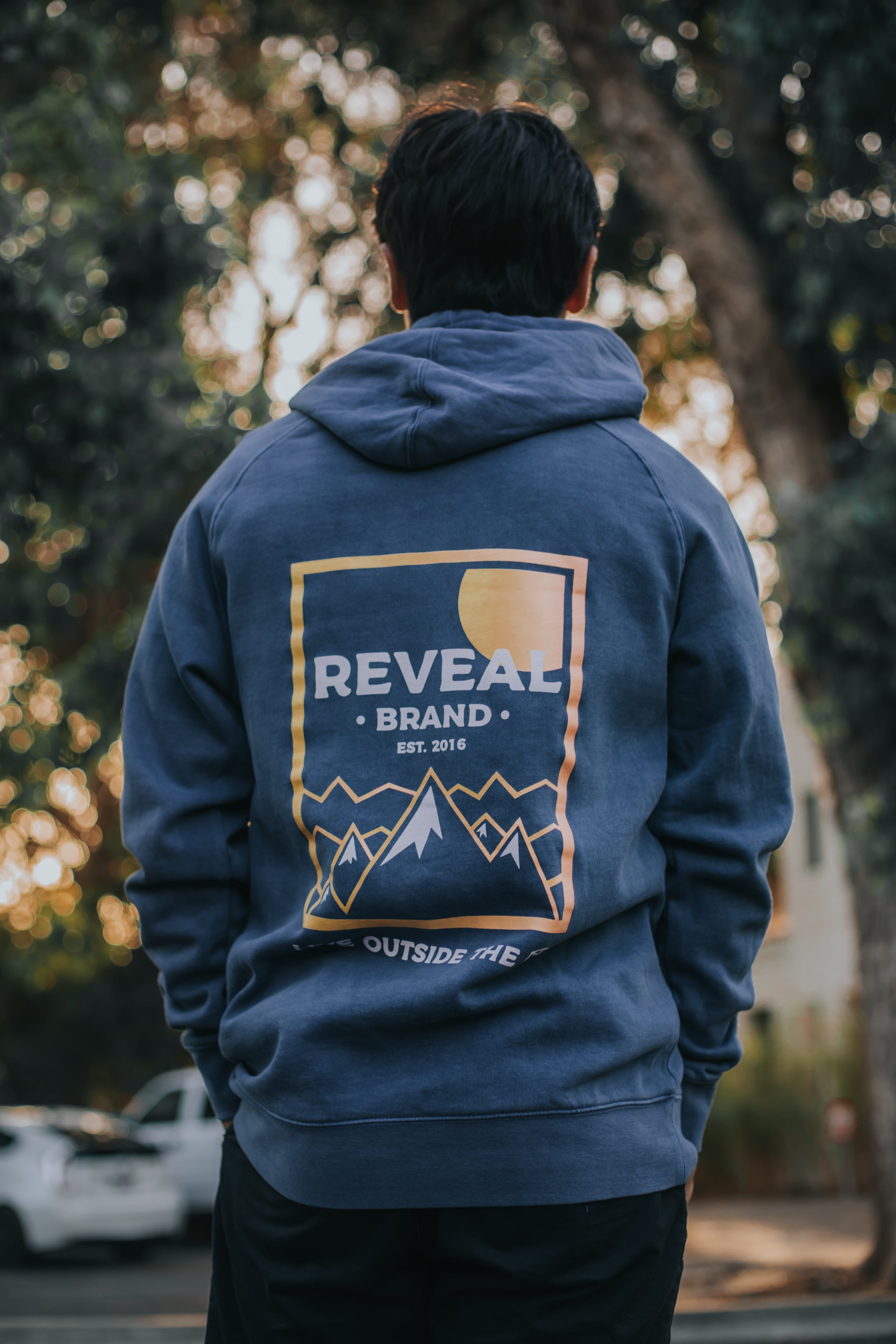 Reveal brand campaign content